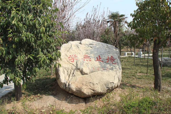 学校环境5.jpg